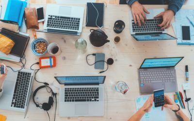 Junior Sales und Customer Success Manager (w/m/d, 60%)
