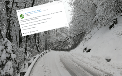 Wie ein massiver Schneefall die Vorteile einer lokalen Online-Plattform aufzeigt